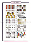 Teach Your Child Arabic - Numbers 11-20 علم طفلك العربية الأعداد