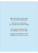 Daily Du'aa Series: (Bilal is a Busy Boy!) Book 2